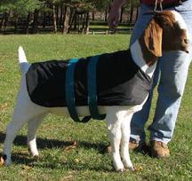 Goat Coat