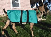 Goat Coat Shop