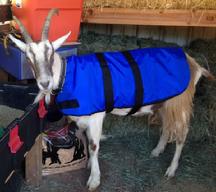 goatcoatshop