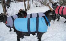 Goat Coats